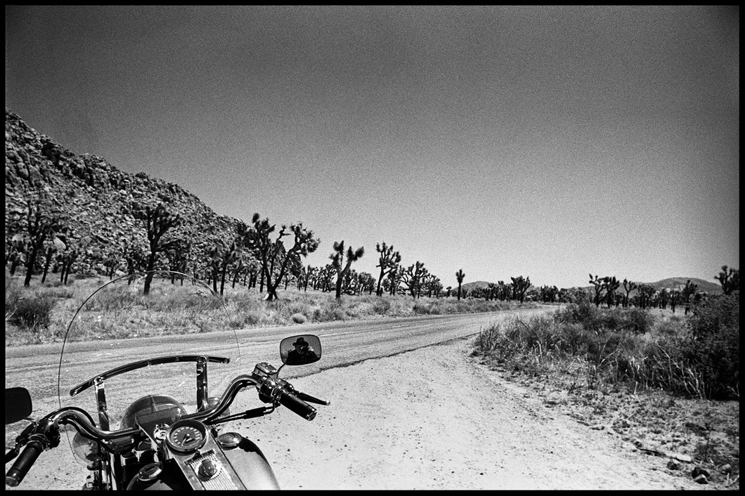 Mojave Desert Self Portrait (1997)