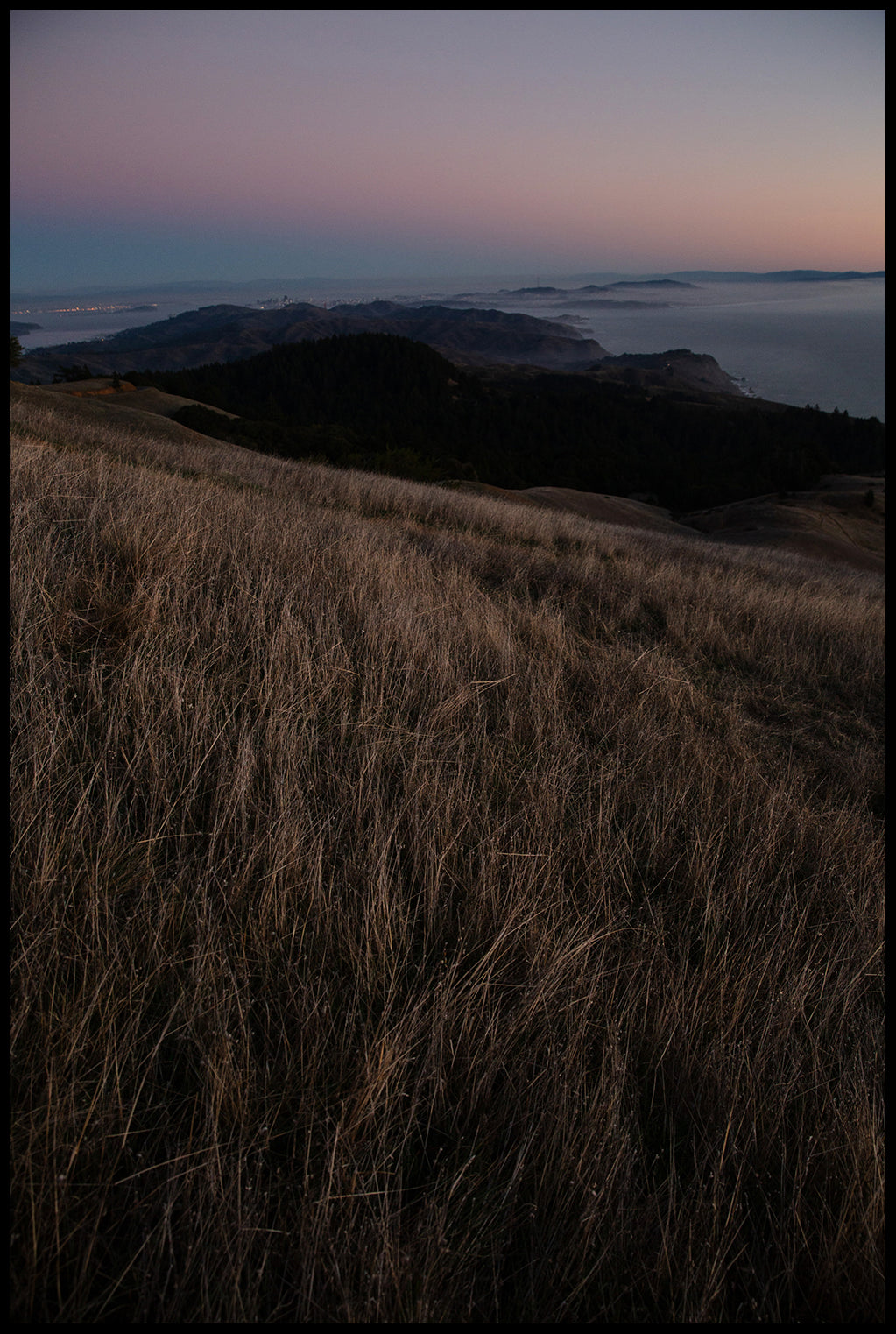 Mount Tam #1 (2014)