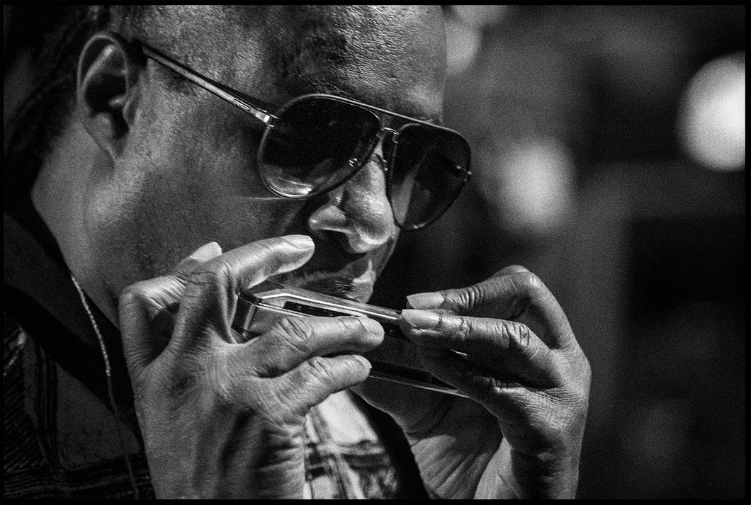 Stevie Wonder (Los Angeles, 2014)