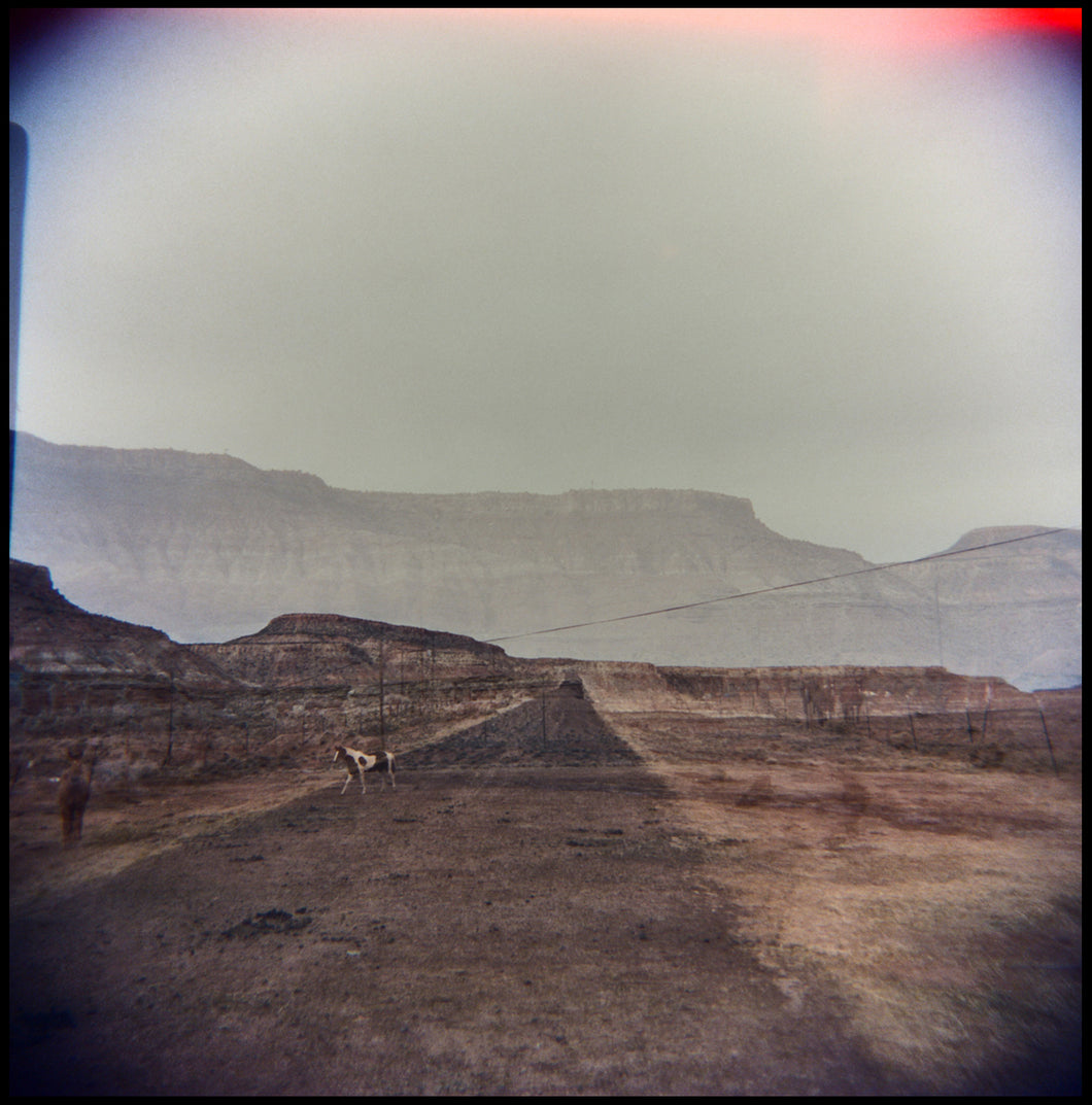 Holga Horse (Utah, 2019)