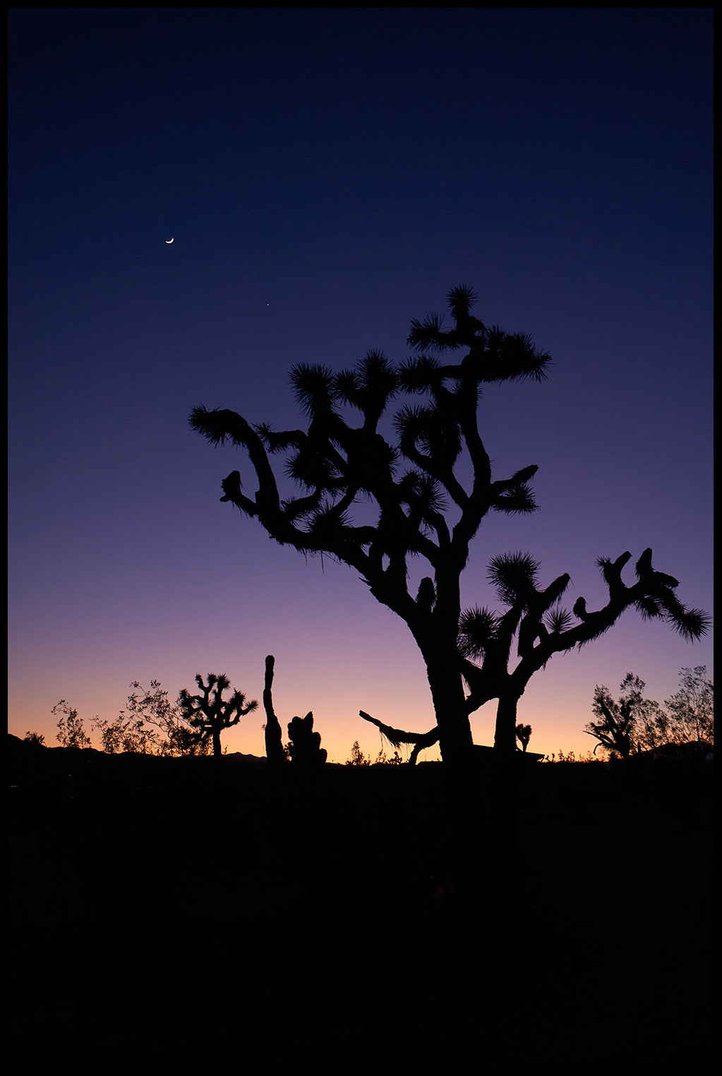 Desert Sunset Sliver Moon (2020)